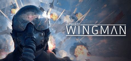 僚机计划/Project Wingman-全面游戏