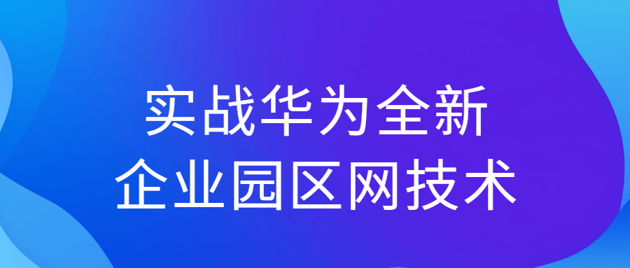 实战华为全新企业园区网技术-全面游戏